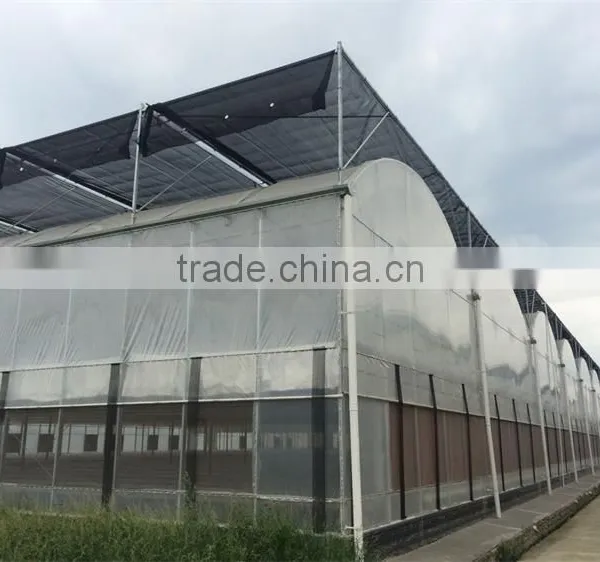 Multi-Span Greenhouse With Aquaponics Growing Systems For Agricultural Planting photo-5