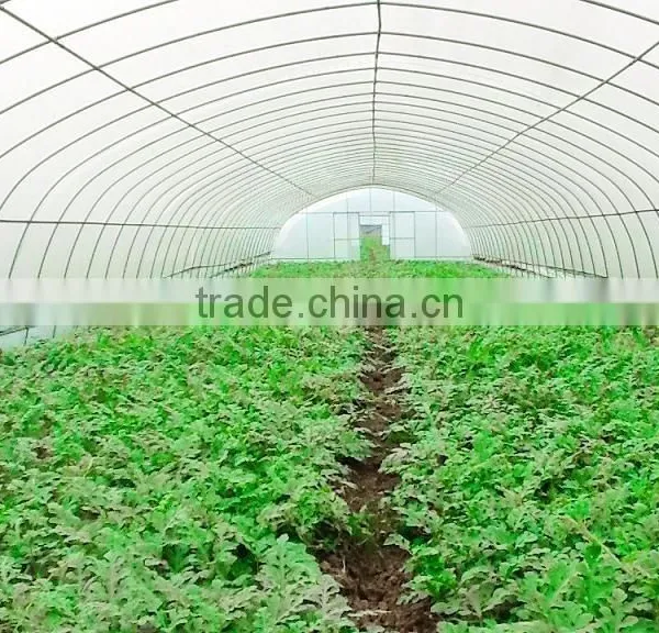 2016 New Design Greenhouses for Roses photo-4