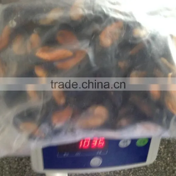 IQF Half Shell Blue Mussel photo-5