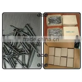 Iron Nail/iron Nail Supplies photo-6
