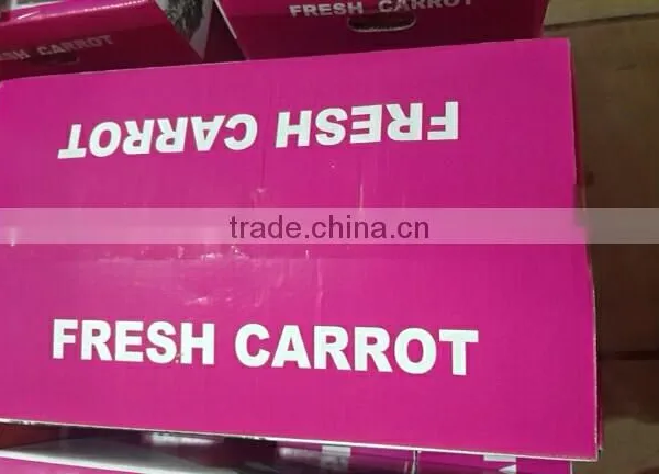Wholesale Chinese Fresh Carrots With High Quality and Good Price photo-4
