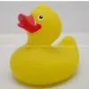 Floating Rubber Ducks