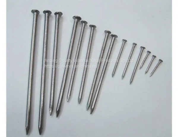 Common Round Nail photo-3