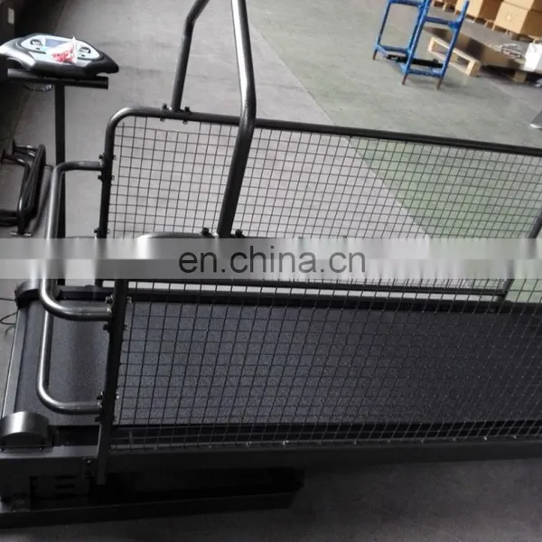 Loading Weight 120kg Dog Treadmill Price photo-3