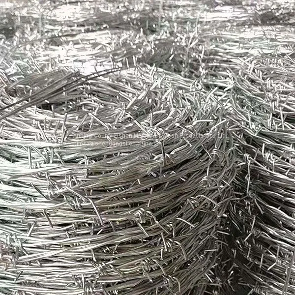 Barbed Wire photo-3