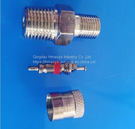 1/8 Inch BSPT Schrader Air Tank Pipe Fittings Valve photo-3