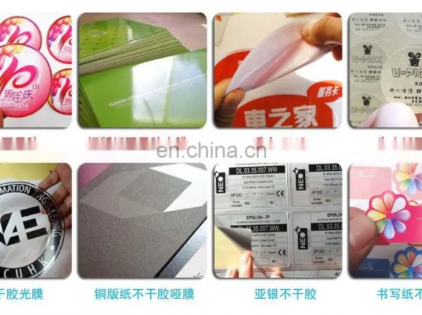Glossy Adhesive Paper Flatbed Die Cutting Machine Fully Automatic With Hot Stamping,punching photo-4