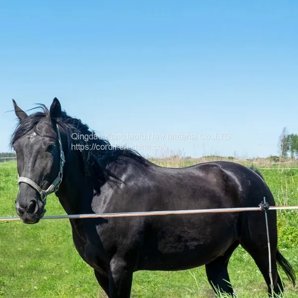 Pasture Electric Fence Accessories Electric Polytape Webbing photo-4