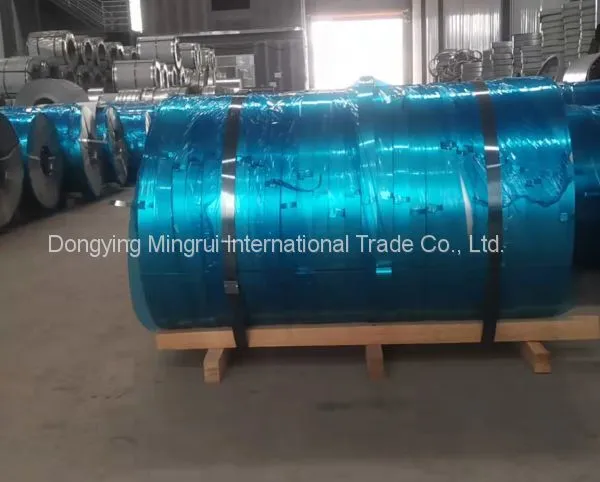 Hot Dip Galvanized Steel Strip