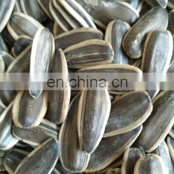 Wholesale Chinese Famous Brand Byloo Food Roasted Sunflower Seeds Sunflower Kernel Seeds Sunflower Melon Seeds photo-3