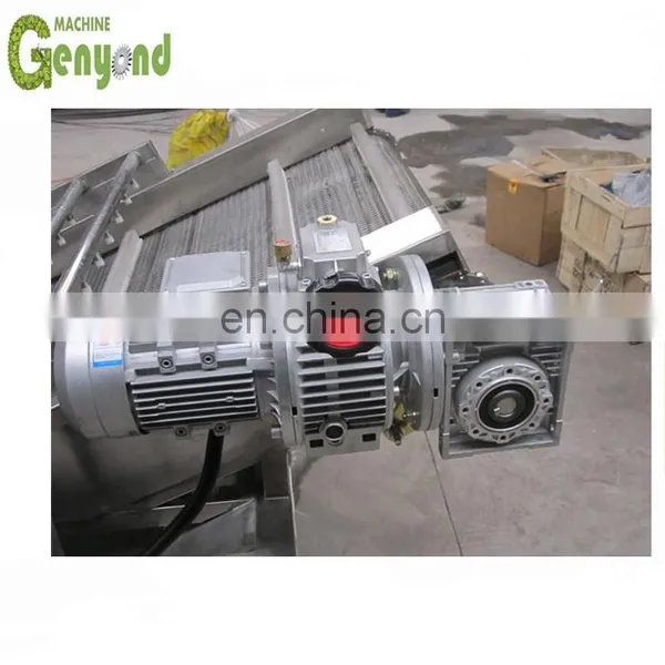 Potato Washing and Sorting Machine photo-5