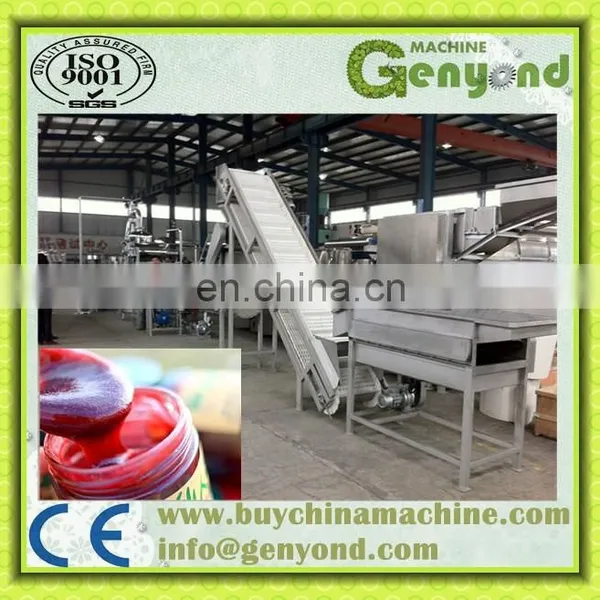 Factory Genyond Complete Prickly Pear Fruit Juice Paste Production Line / Prickly Pear Jam Processing Plant Making Machine photo-5
