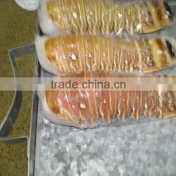 Frozen Lobster Tails photo-6