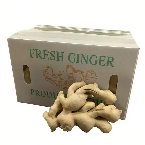 Custom Recycled Corrugated Plastic Boxes for Fresh Ginger and Vegetable Transport photo-3