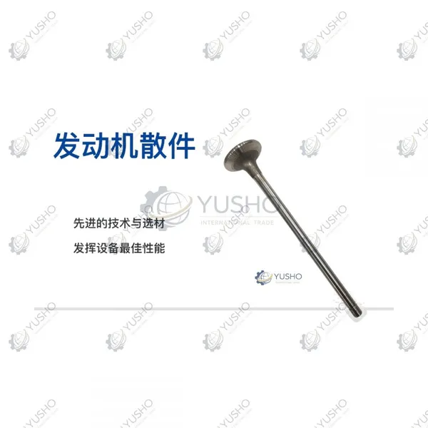 Valve 860135512 for XCMG Excavator Genuine OEM