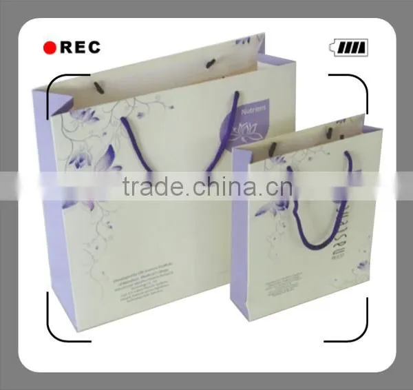 Custom Printed Logo Christmas Paper Shopping Paper Bags Wholesale Paper Shopping Bag