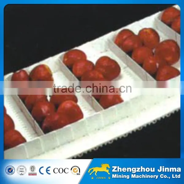 Stainless Steel Fruit Belt Conveyor Price photo-5