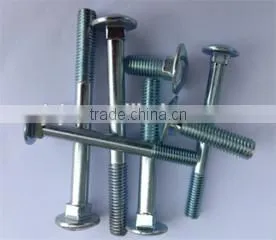 China Supply High Quality Carbon Steel Carriage Bolt photo-5