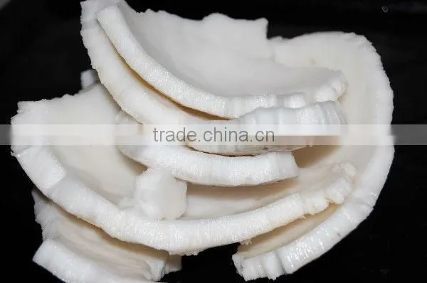 Vietnam Coconut Meat