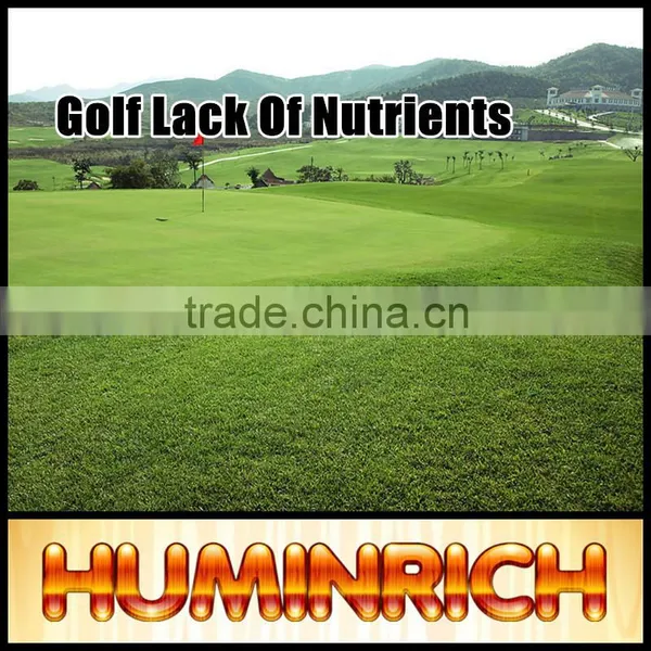 Huminrich Shenyang SH9040-1 Blackgold Humate Compost Fertilizer Price photo-5