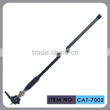AM/FM Car Antenna