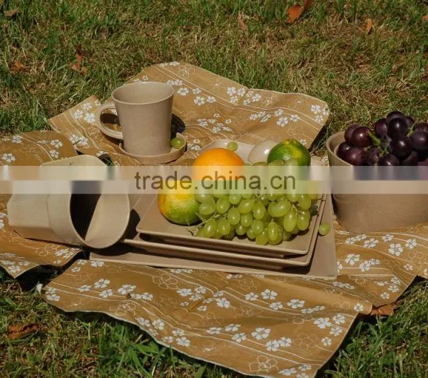 Biodegradable Organic Camping Dinnerware Set photo-2