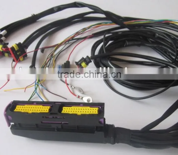 ECU Wire Harness CNG/LPG Kits photo-5