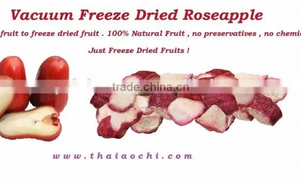Freeze Dried Roseapple Fruit Slices From Thailand photo-2