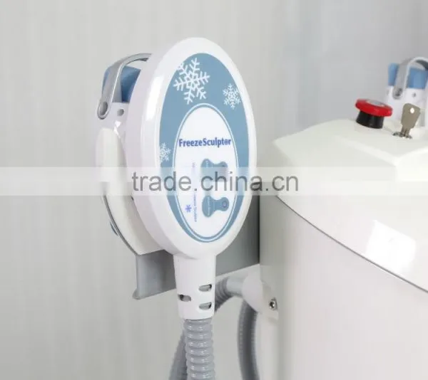 Suslaser Freeze Sculptor Cryo Lipolysie Cryotherapy Fat Freezing Machine photo-5