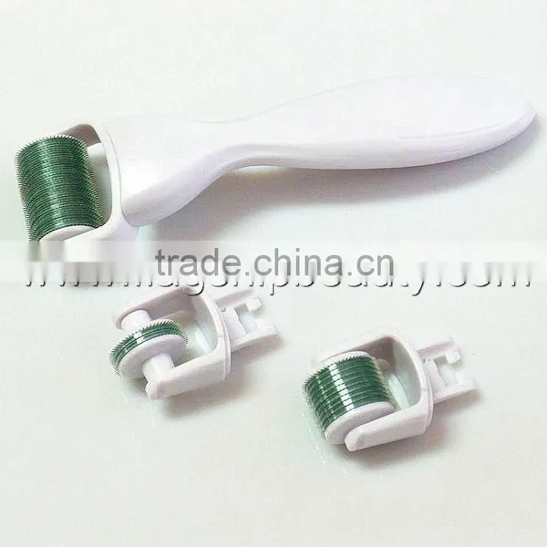 2016 Flagship ! Wholesale Home Use 3 in 1 Micro Derma Roller Kit photo-2