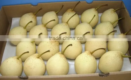 ya Pears 2015 for Sales photo-2