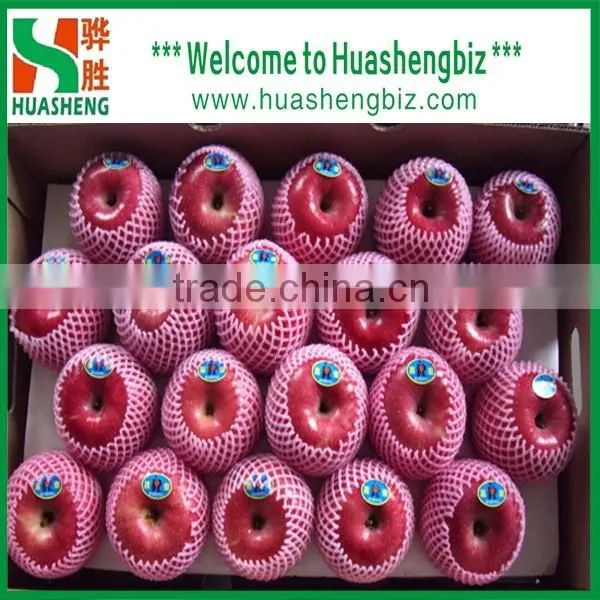 China 9kg-20kg Carton Fresh Fuji Apple photo-5