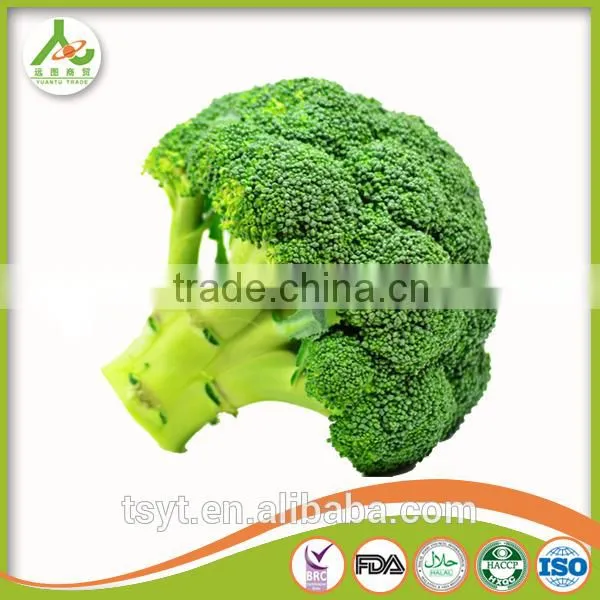 2017 China Iqf Frozen Broccoli Fresh Green Broccoli Frozen Broccoli Broccoli Powder photo-4