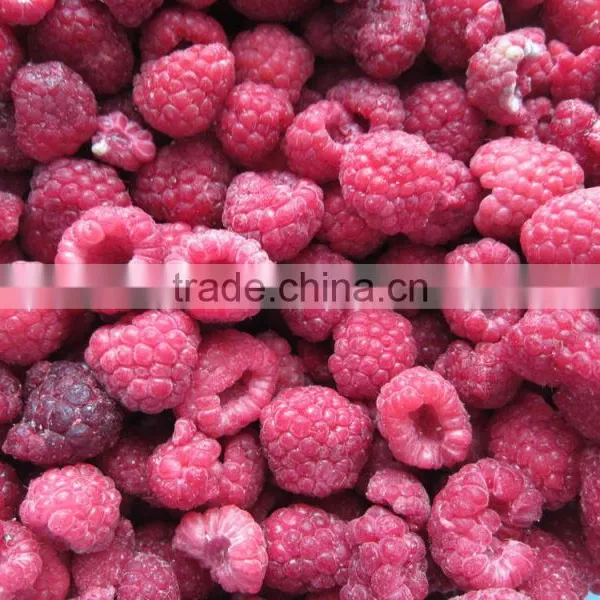 IQF Frozen Raspberry Grade A Whole photo-3