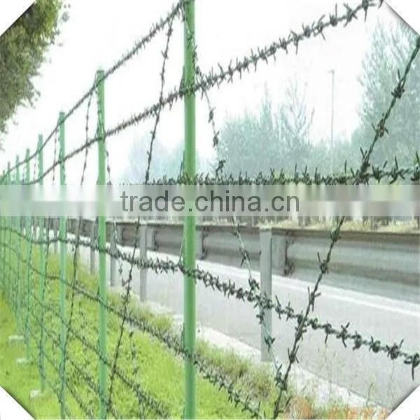 Hot Sale 14# Barbed Wire for Sale / Galvanized Barbed Wire Factory / Barbed Wire for Sale photo-6