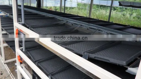 BK Conveyor Culture photo-5