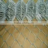 Good Price Chain Link Fence Netting photo-3