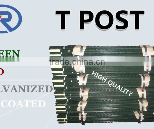 High Quality Low Price Metal T Post Also Named Studded T Post for American Market photo-3