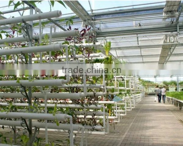 Agricultural Large Size/span Glass Greenhouses for Potatoes/tomatoes photo-2