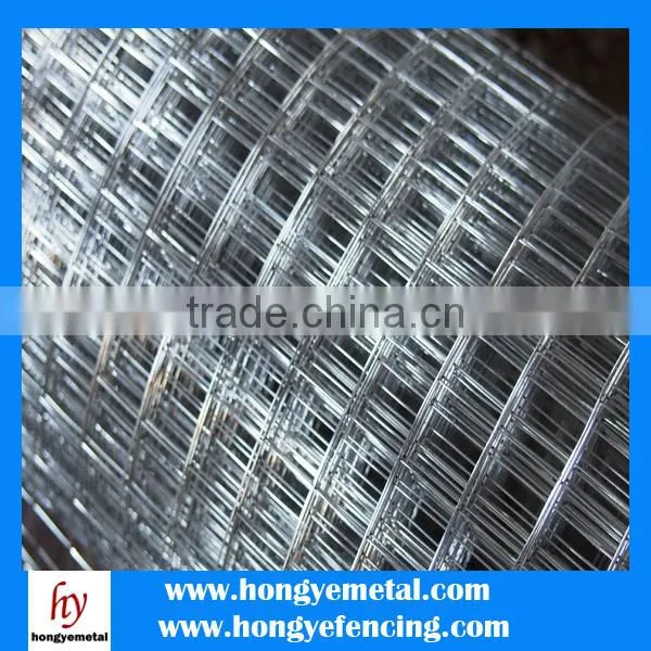 The Best Price With High Quality Of Galvanized Welded Rabbit Cage Wire Mesh photo-2
