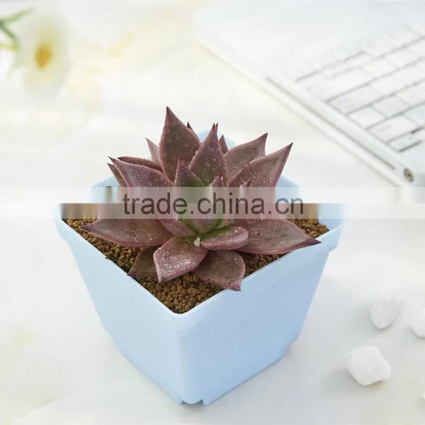 Plastic Flower Pot Rack -6 Grid photo-6
