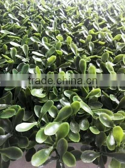 Artificial Boxwood Grass Mat/Hedge Outdoor UV Protection Artificial Boxwood Hedge Vertical Garden photo-3