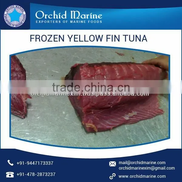 Highly Nutritious Whole Round Yellowfin Tuna for Bulk Export photo-3