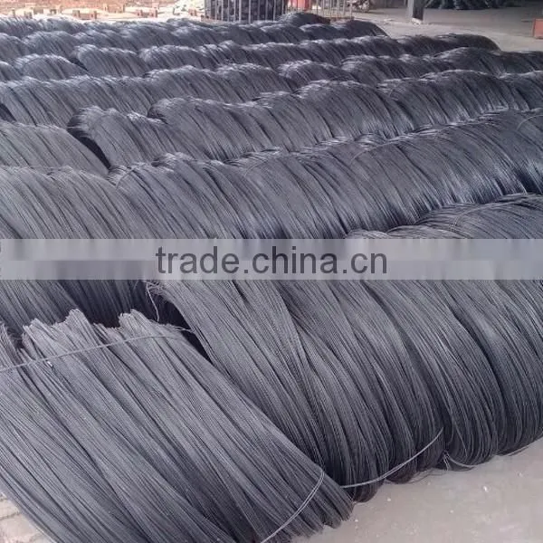Galvanized Iron Wire / Black Iron Wire / Pvc Coated Wire photo-2