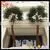 Wholesale Outdoor&Indoor Artificial Palm Trees Artificial Palm Tree Leaves and Plastic Palm Tree photo-5