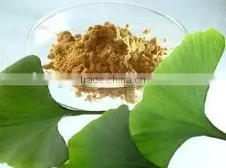 GMP Factory Ginkgo Biloba Extract 24/6 Yajiaotong Flavone 24% Lactones 6% Ginkgobiloba Capsule Ginkgo Biloba Tablet photo-4