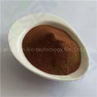 Agaricus Blazei Extract