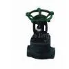 Forged Steel Gate Valve