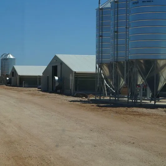 Commercial Automatic Poultry Farm Shed With Equipment for Broilers