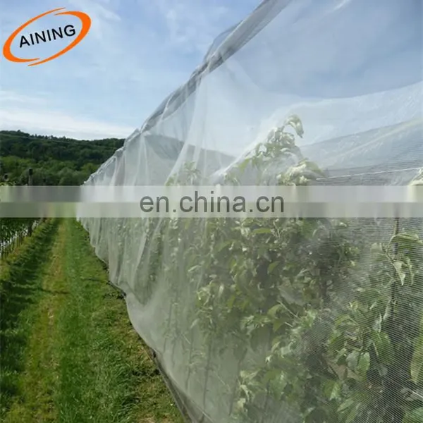 Transparent Anti Insect Net for Vegetable Windbreaker Net 90gr/m2 photo-3